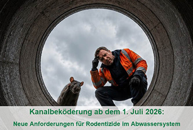 kanalbekderung-ab-dem-01.07.26
