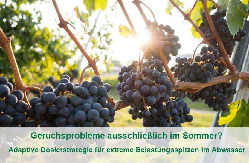 belastungsspitzen-abwasser1